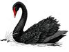 Black-swan